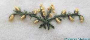 Gorse In Close Up