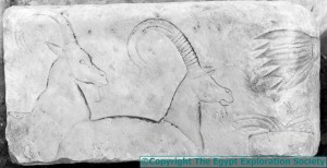 Antelope Carving - Photo copyright The Egypt Exploration Society