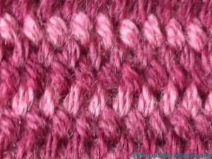 Plaited Stitch