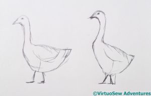 Sketched Geese