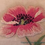 Poppy - Brighter and Lighter