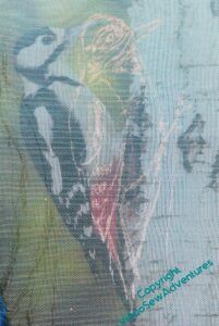 Fine gauze with a woodpecker drawn on it in white pen. You can see the source photo through the gauze.