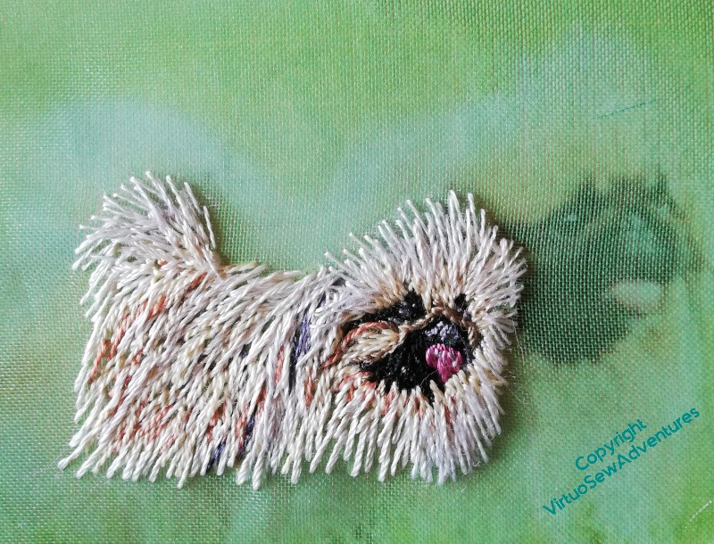 Mary the Pekinese finished.