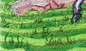 More tussocks, these in the bottom left corner.