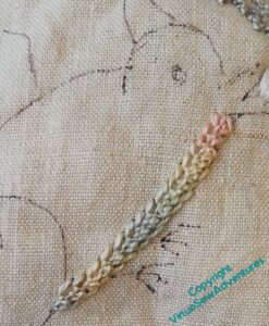 Mountmellick Thorn Stitch breast of Bitey Bird