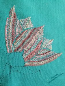 Half open lotus flower in shades of pink