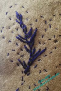Close up of one of the leaves, stitched down the middle in dark blue