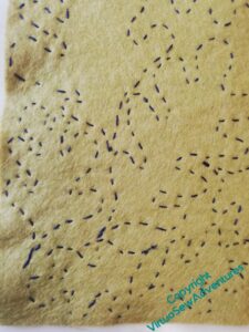 Rather hard to decipher, a piece of felt with oak leaves outlined in running stitch