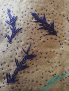 Three leafy experiments